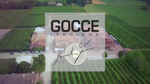 GOCCE: 10 ha de vignes de famille